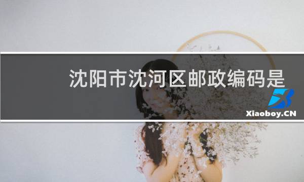 沈阳市沈河区邮政编码是多少