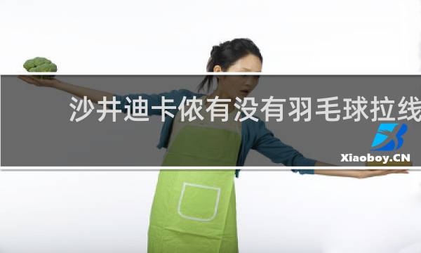 沙井迪卡侬有没有羽毛球拉线