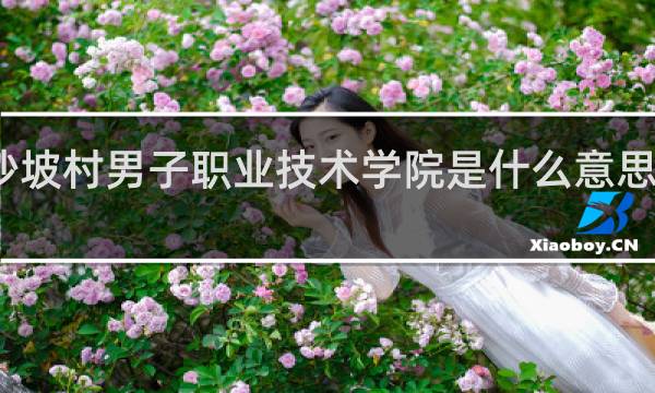 沙坡村男子职业技术学院是什么意思什么梗
