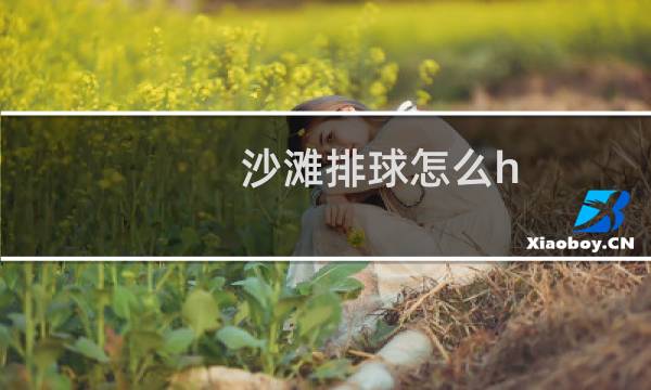 沙滩排球怎么h