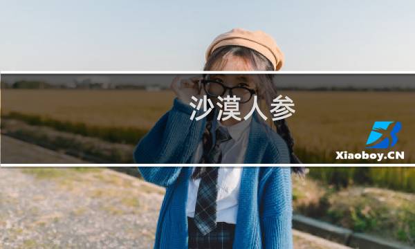 沙漠人参（黄南州特产）