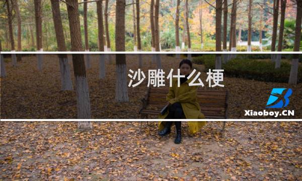 沙雕什么梗？沙雕是什么意思什么梗
