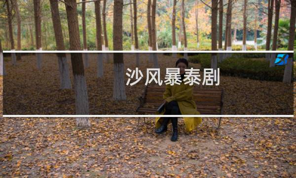 沙风暴泰剧