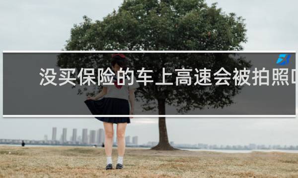 没买保险的车上高速会被拍照吗