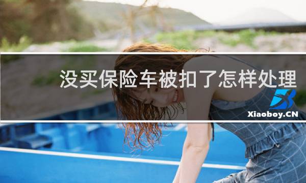 没买保险车被扣了怎样处理图片