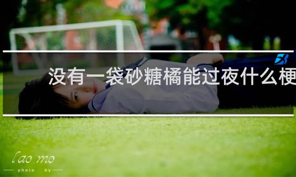 没有一袋砂糖橘能过夜什么梗，没有一袋砂糖橘能过夜是什么意思？什么梗