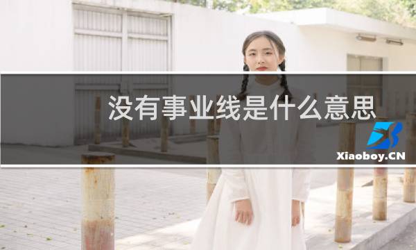 没有事业线是什么意思？