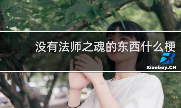 没有法师之魂的东西什么梗