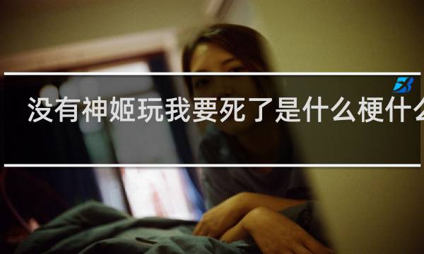 没有神姬玩我要死了是什么梗什么梗