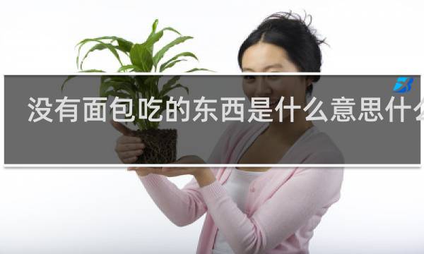 没有面包吃的东西是什么意思什么梗