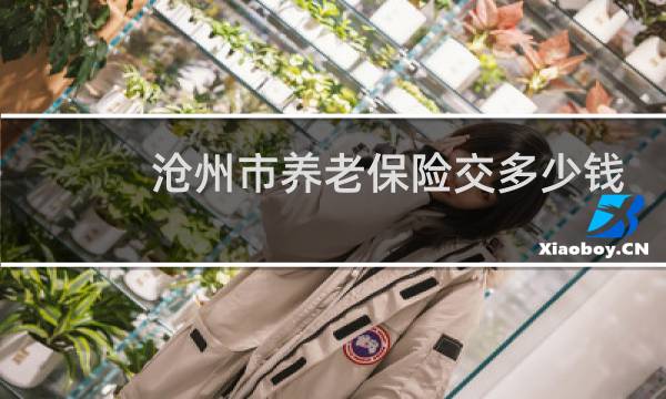 沧州市养老保险交多少钱