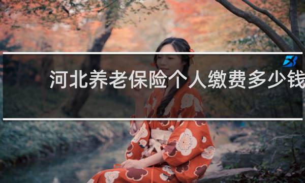 河北养老保险个人缴费多少钱图片