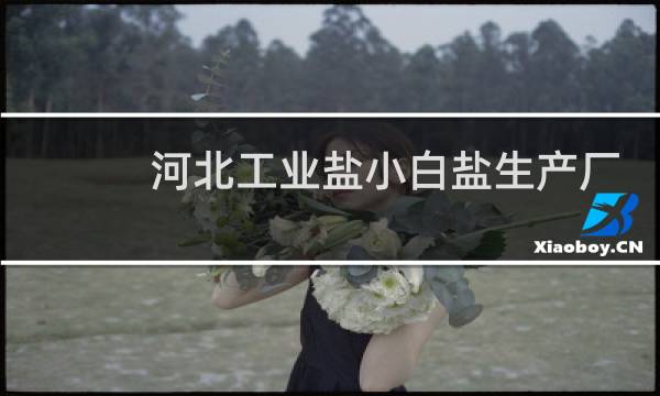 河北工业盐小白盐生产厂家图片