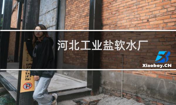 河北工业盐软水厂图片