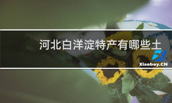河北白洋淀特产有哪些土特产图片