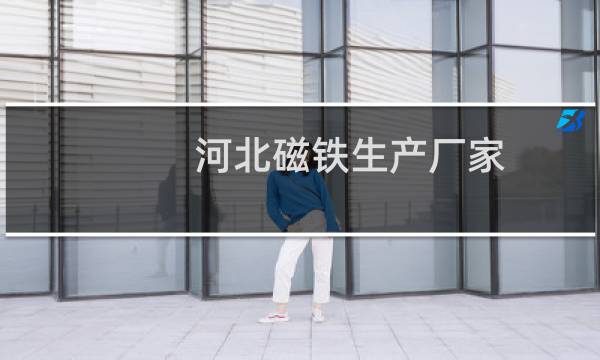 河北磁铁生产厂家