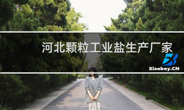 河北颗粒工业盐生产厂家图片