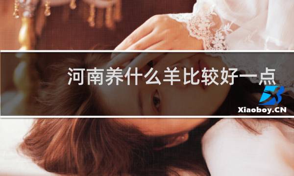 河南养什么羊比较好一点呢图片
