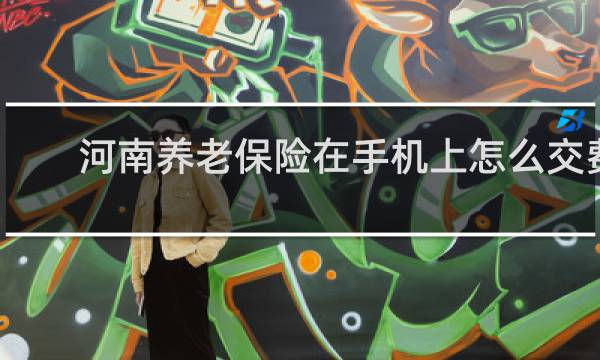河南养老保险在手机上怎么交费