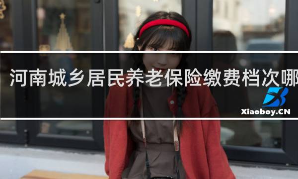 河南城乡居民养老保险缴费档次哪个好图片