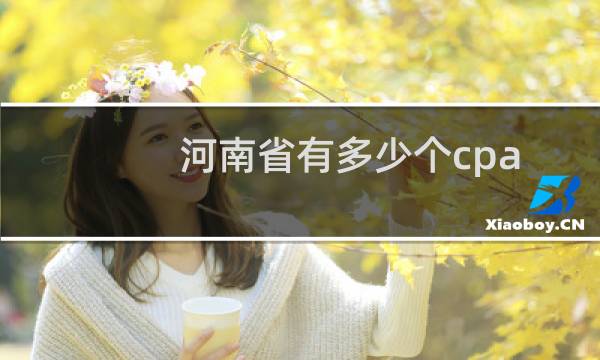 河南省有多少个cpa