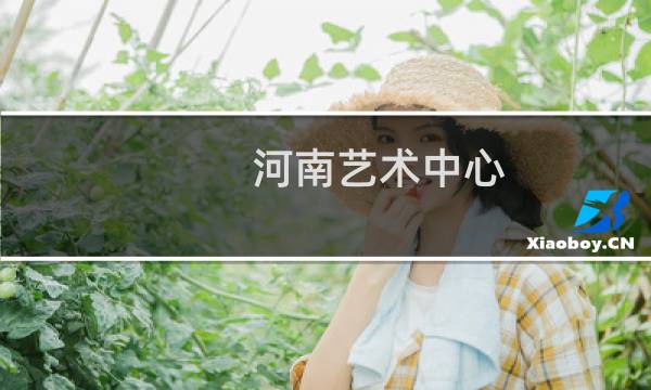 河南艺术中心图片
