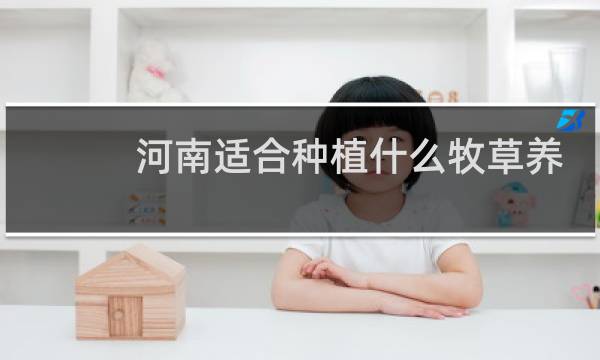 河南适合种植什么牧草养羊图片