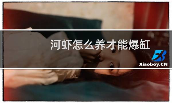 河虾怎么养才能爆缸（河虾怎么养殖方法）图片