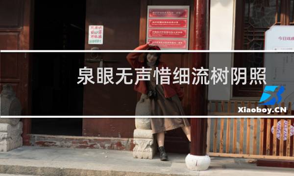 泉眼无声惜细流树阴照水爱晴柔解释(泉眼无声惜细流,树阴照水爱晴柔的意思)