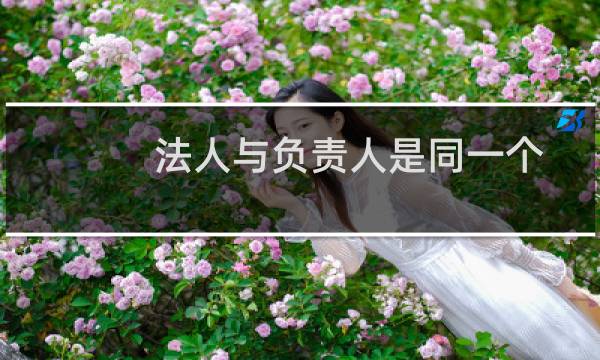 法人与负责人是同一个人,已做短信核验,请帮忙看下短信核验是否