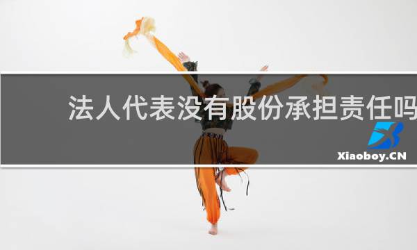 法人代表没有股份承担责任吗