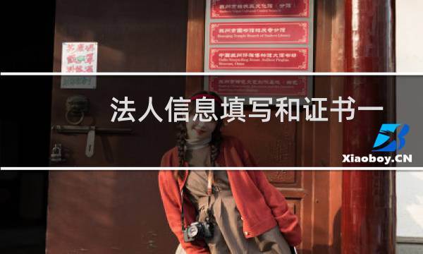 法人信息填写和证书一致，但系统提示错误