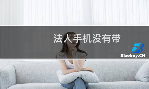 法人手机没有带，能否先同意上传资料，稍后回去之后能接收验证码