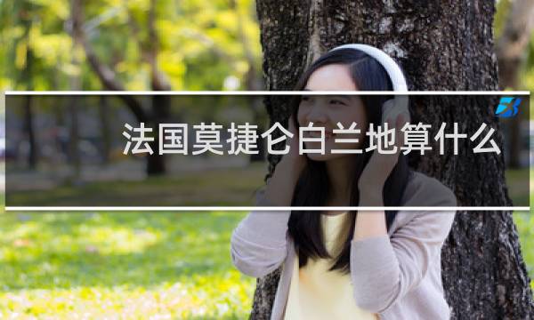 法国莫捷仑白兰地算什么级别图片