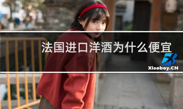 法国进口洋酒为什么便宜图片