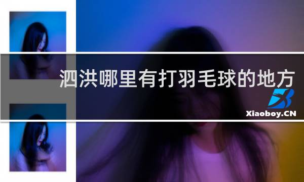 泗洪哪里有打羽毛球的地方