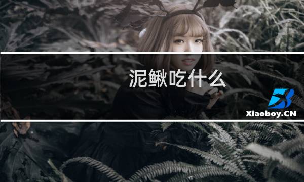 泥鳅吃什么(泥鳅怎么养在家里)