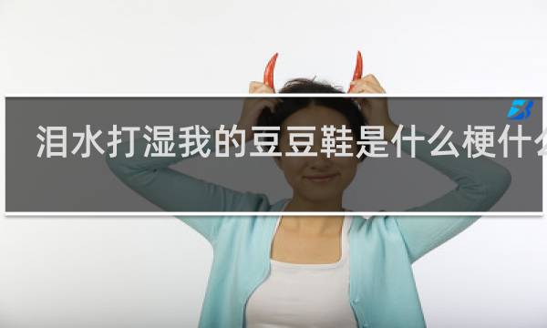泪水打湿我的豆豆鞋是什么梗什么梗