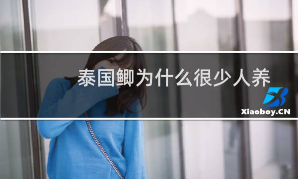 泰国鲫为什么很少人养（多少钱一条 和飞凤鱼的区别）图片