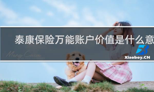 泰康保险万能账户价值是什么意思