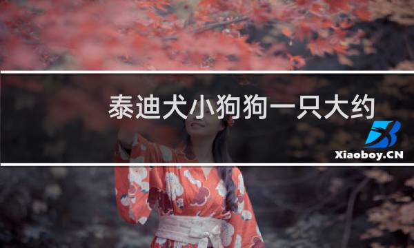 泰迪犬小狗狗一只大约多少钱（泰迪狗多少钱一只宠物店的价格在1000左右）