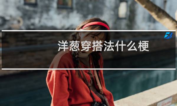 洋葱穿搭法什么梗