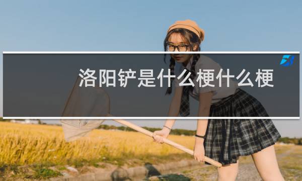 洛阳铲是什么梗什么梗