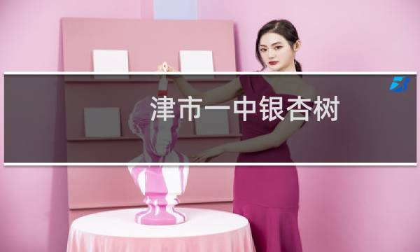 津市一中银杏树