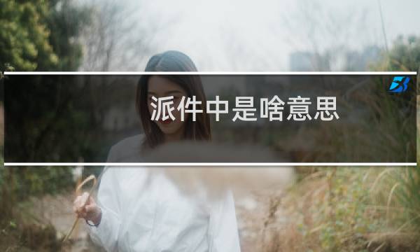 派件中是啥意思?（派件员正在派件是什么意思）