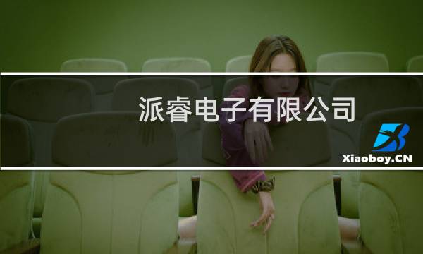 派睿电子有限公司