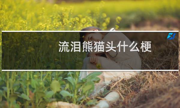 流泪熊猫头什么梗