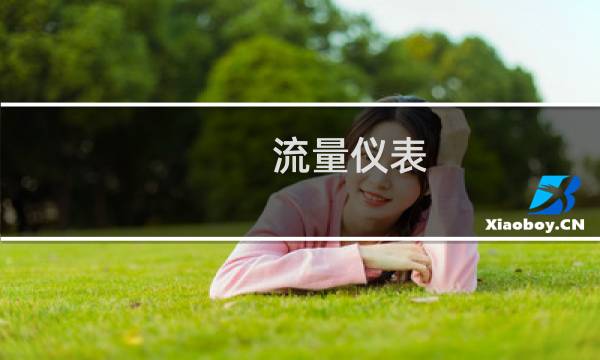 流量仪表