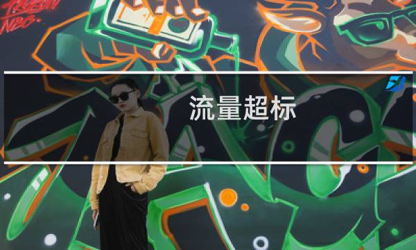 流量超标,请帮我拦截异常访问