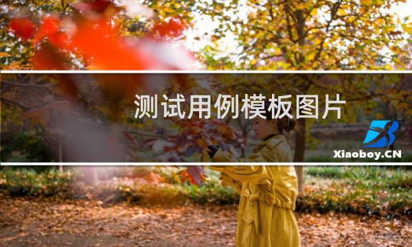 测试用例模板图片(测试用例模板)